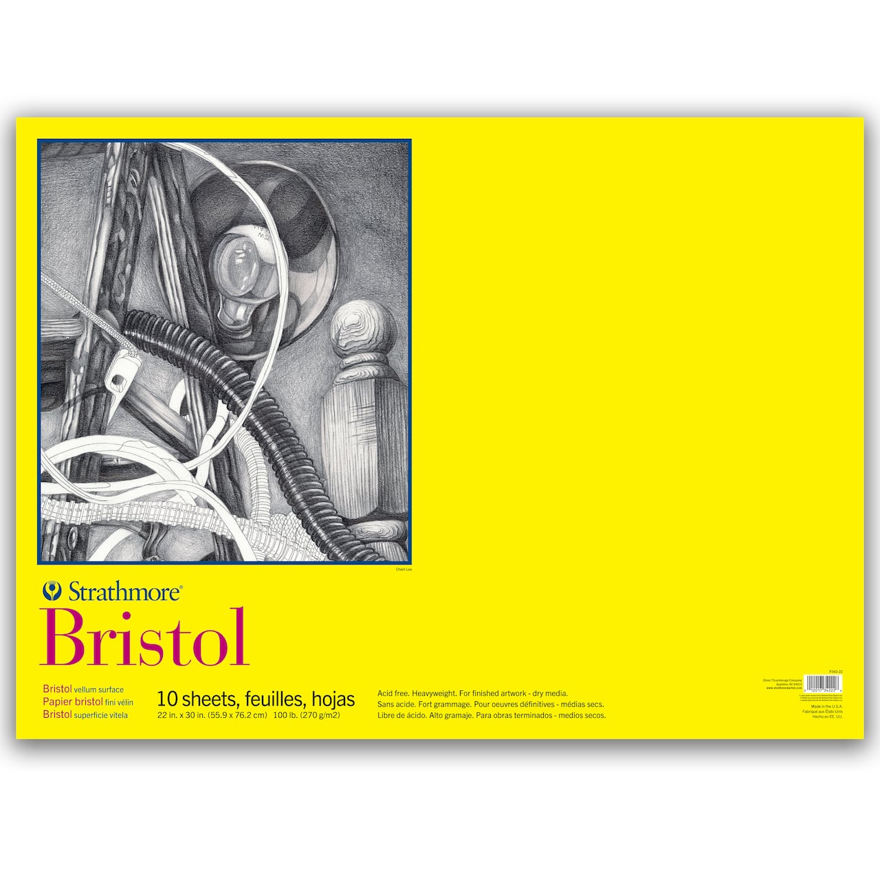 Strathmore® 300 Series Bristol Vellum Surface Pad, 22" x 30"